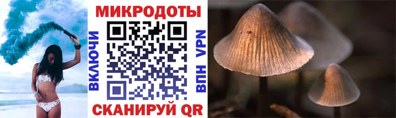 Псилоцибиновые грибы ЛСД  Гулькевичи 
